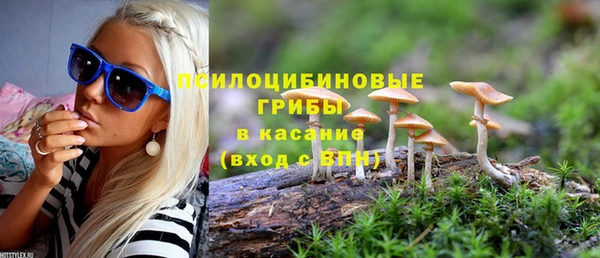 меф Няндома