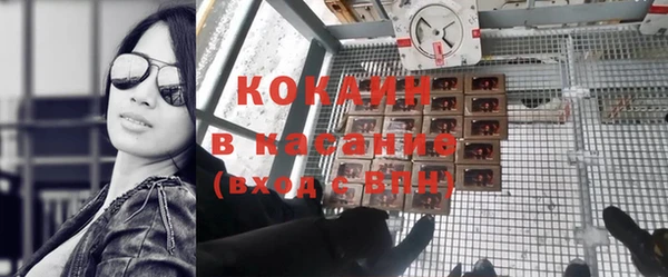 шишки Новодвинск
