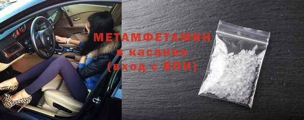 шишки Новодвинск