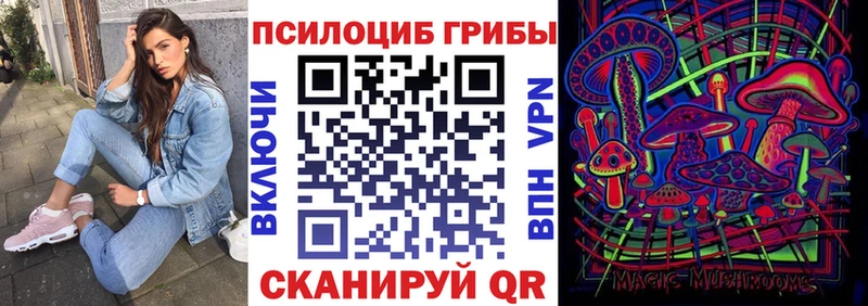 Псилоцибиновые грибы Psilocybine cubensis  Петровск-Забайкальский 